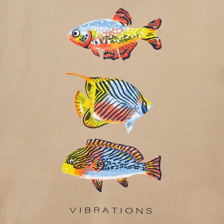 MAYORAL Camiseta m/c Peces