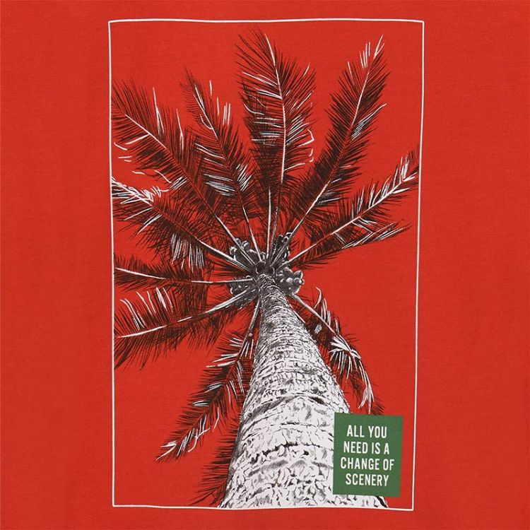 MAYORAL Conjunto Palmera Pimienta